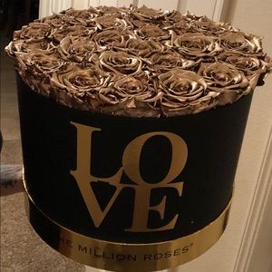 Meet your Posher, Victoria